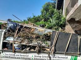 Best Construction Debris Removal  in Lake Mills, WI